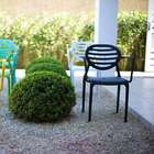 Cadeira Stripe Preto