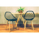 Cadeira Tramontina Philo Em Poliamida Com Pernas De Madeira P