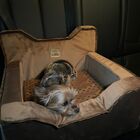 Cadeira Transporte Para Pet Modernpet Car Seats Design - Cara