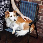 Cadeira Xadrez Marine Mor