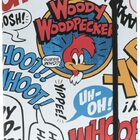 Caderneta De Anotações Pica Pau