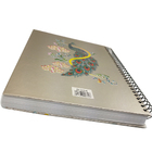 Caderno Capa Dura 3d 190 Páginas Espiral Volta Aulas Estudos