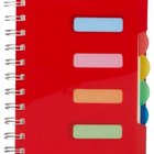 Caderno Pequeno Com Divisórias Espiral Anotações Pauta - Verm