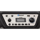 Caixa Acústica Philco Pcx6000 Com Conexão Bluetooth Bivolt