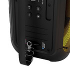 Caixa Amplificada Philco Bluetooth 650w  Pcx6700