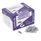 Caixa com 1000 Parafusos 25x3,5mm Trombeta Philips Gypsum