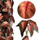 Caixa Com 20 Plantas De Singônio Artificial – Revestimento Pe