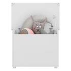 Caixa De Brinquedos Baú Organizador Multimóveis Fg2315 Branco