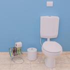 Caixa De Descarga Baixa Branca Com Duplo Acionamento + Conver