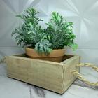 Caixa De Madeira E Vaso De Cerâmica Com Planta Artificial