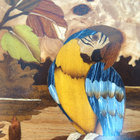 Caixa de Madeira em Marchetaria - Arara