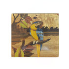 Caixa de Madeira em Marchetaria - Arara