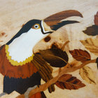 Caixa de Madeira em Marchetaria - Tucano