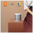 Caixa De Som Inteligente Com Google Assistente Mi Smart Speak