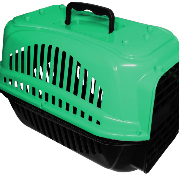 Caixa De Transporte De Gatos Cachorros Tamanho N1 - Verde