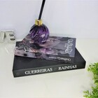 Caixa Livro Raizes Do Feminismo 26x17x4cm - Tam M