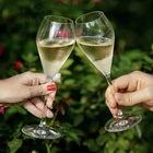 Caixa Magnética C/ 2 Taças Riedel Cristal Vinho Porta Vinho