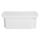 Caixa Multiuso C/tp 25l Rischioto