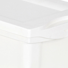 Caixa Organizadora 30,7x42,5x30,5cm Branca 30L Radical Color Ordene