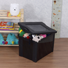 Caixa Organizadora 30,7x42,5x30,5cm Preta 30L Radical Color Ordene