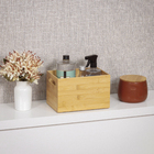 Caixa Organizadora Bambu Keep 5,7L 15x16x24cm OU