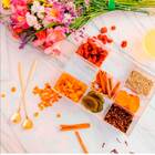 Caixa Organizadora Com Divisorias E Tampa Paramount 1079