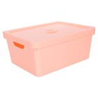 Caixa Organizadora Com Tampa Empilhável 10 Litros 38x26cm  -