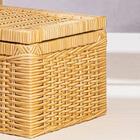 Caixa Organizadora Com Tampa Trama 8 L - Home Style