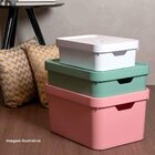 Caixa Organizadora Cube M 1 8l C/ Tampa Azgf Cc450 Ou