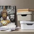 Caixa Organizadora Cube Média 10,5l Bege Ou