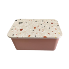 Caixa Organizadora De Plástico Pequena C/ Tampa  24cm X 18cm