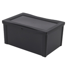 Caixa Organizadora Grande em Plástico Preto 65L Radical Color Ordene