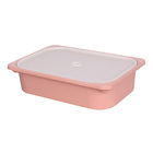 Caixa Organizadora Huya 7 5 L - Calla Rose