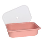 Caixa Organizadora Huya 7 5 L - Calla Rose