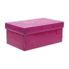 Caixa Organizadora Mini Sapato Dello Preto