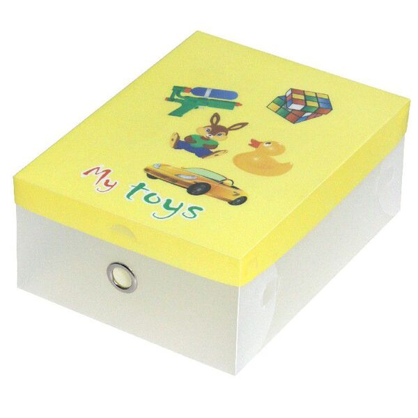 Caixa Organizadora Para Acessórios 27x18 5x13 Cms - My Toys