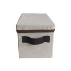 Caixa Organizadora Pequena Para Escritorios Com Tampa Cor Neu