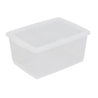 Caixa Organizadora Plástica 32x23x15,3cm 7,5l My Closet