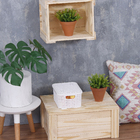 Caixa Organizadora Plástico 2L 9,2x15,4x9,2cm Branco Rattan Nitron