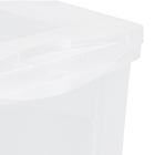 Caixa Organizadora Plástico Transparente 65L 30,7x63,5x42,5 cm Radical Color Ordene