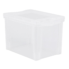 Caixa Organizadora Plástico Transparente 30L 30,7x42,5x30,5 cm Radical Color Ordene