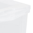 Caixa Organizadora Plástico Transparente 30L 30,7x42,5x30,5 cm Radical Color Ordene