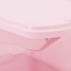 Caixa Organizadora Plástico Rosa 29L Flex Sanremo