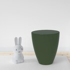 Caixa Organizadora Plástico Verde  38x34x34cm