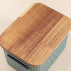 Caixa Organizadora Plástico Verde Escura Canelada com Tampa de Acácia 16,5x12,5x10cm 10L Oikos