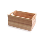 Caixa Organizadora Retangular 350/170