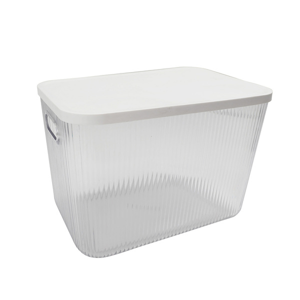 Caixa Organizadora Transparente Com Tampa 11L Alta Oikos