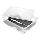 Caixa para Bota Transparente 49,2x36,4x12,8cm Ordene