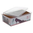 Caixa para Sapato Plástico Transparente 10x19x31cm