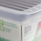 Caixa para Sapato Plástico Transparente 10x19x31cm